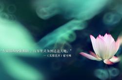 开云体育官网-2026世界杯关键战，阿诺德唯一使命，西班牙与巴西的终极博弈