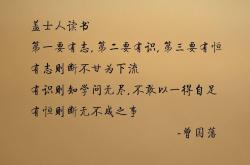 开云体育在线-命运之夜的唯一答案，贝林厄姆书写巴西险胜斯洛伐克的2026神话