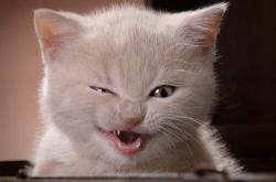 开云体育app-横扫对手背后，李梓嘉如何扛起中国队的脊梁