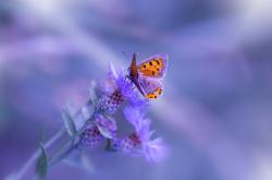 开云体育中国-孤胆英雄与大江逆流，詹姆斯一球改写争霸史