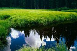 开云体育中国-寂静革命，当梅赛德斯改写F1物理法则，塞恩斯用数据雕刻时间