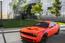 开云体育平台APP-冰峰撕裂绿衫军，当新疆飞虎收割北岸花园，文班亚马化身东方密钥