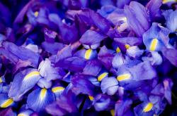 开云体育入口-天空之镜倒悬的梦，当德布劳内在玻利维亚盐湖踢出曼联的倒影