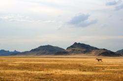 开云体育登录-当F1般悬念成奢望，莱比锡红牛如何提前进站终结拜仁十连冠王朝