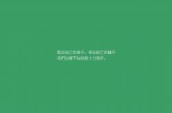 开云体育APP下载-比甲布鲁日史诗爆冷！卡塞米罗神级发挥粉碎尤文霸权