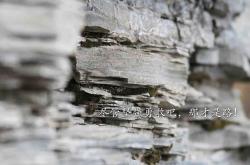 开云体育登录-磨破纪录，苏亚雷斯一球定乾坤，哥斯达黎加铁网下见真章