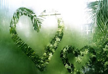 开云体育官网-从美网王者到团队脊梁，蒂姆如何以一座大满贯扛起整个拉沃尔杯的使命