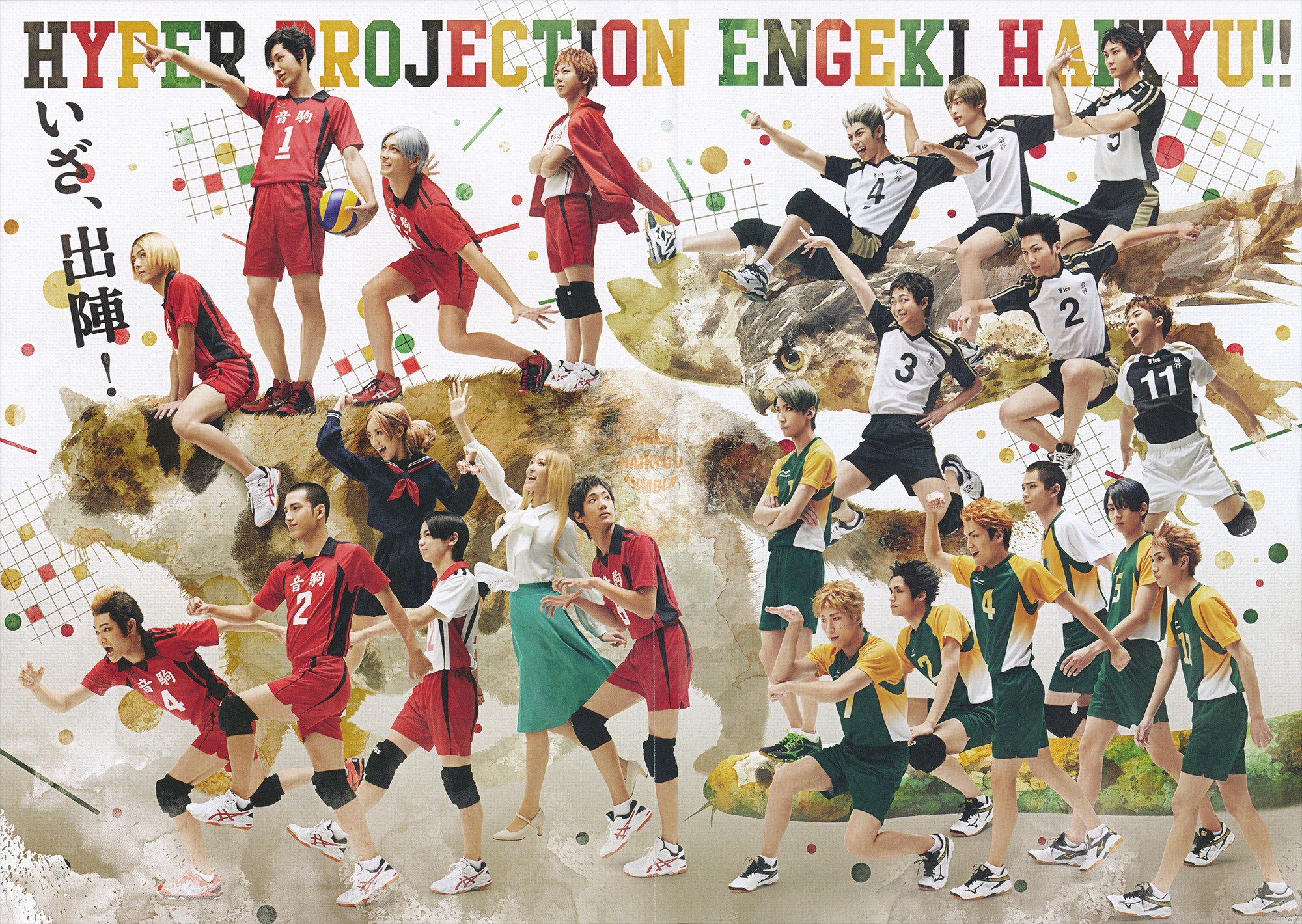 关于排球战术革新取得奇效，引发战术热潮的信息