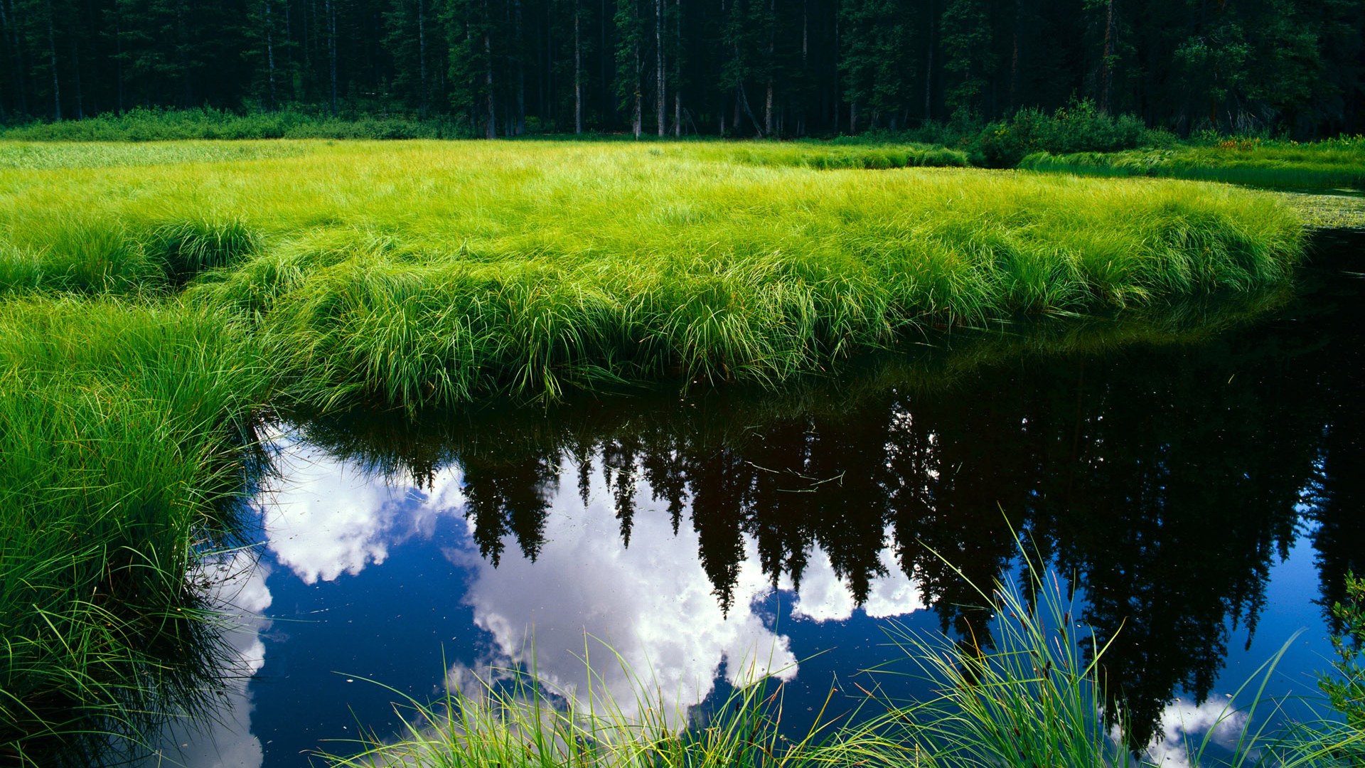 德甲新纪元，拜仁霸权遭遇最强挑战，奥亚尔萨瓦尔点燃翻盘烽火