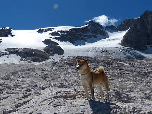 乒乓鏖战，法国队对决韩国队，奥恰洛夫状态火热搅动战局