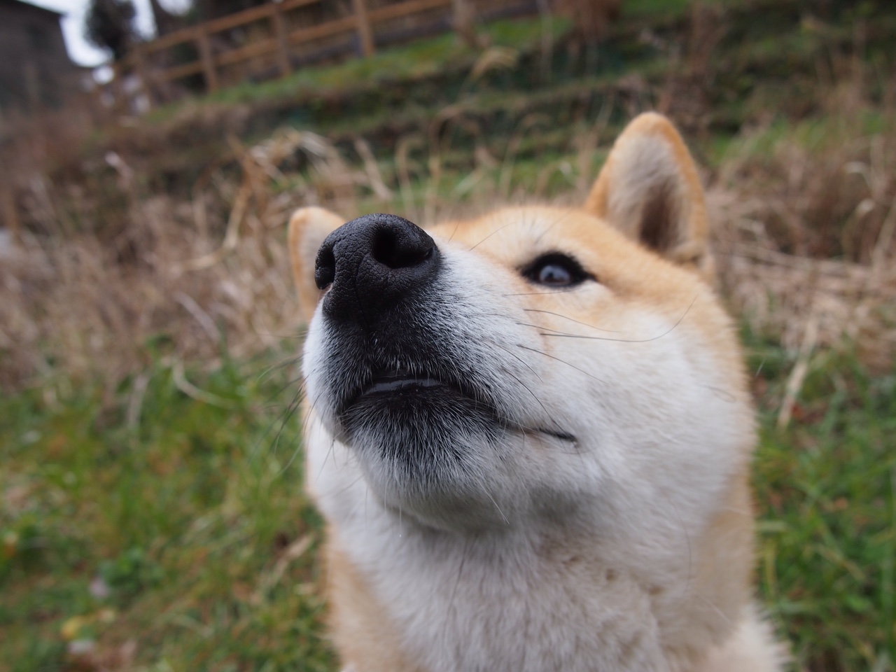 奇兵迪巴拉助阵，非洲黑马几内亚友谊赛淘汰比利亚雷亚尔