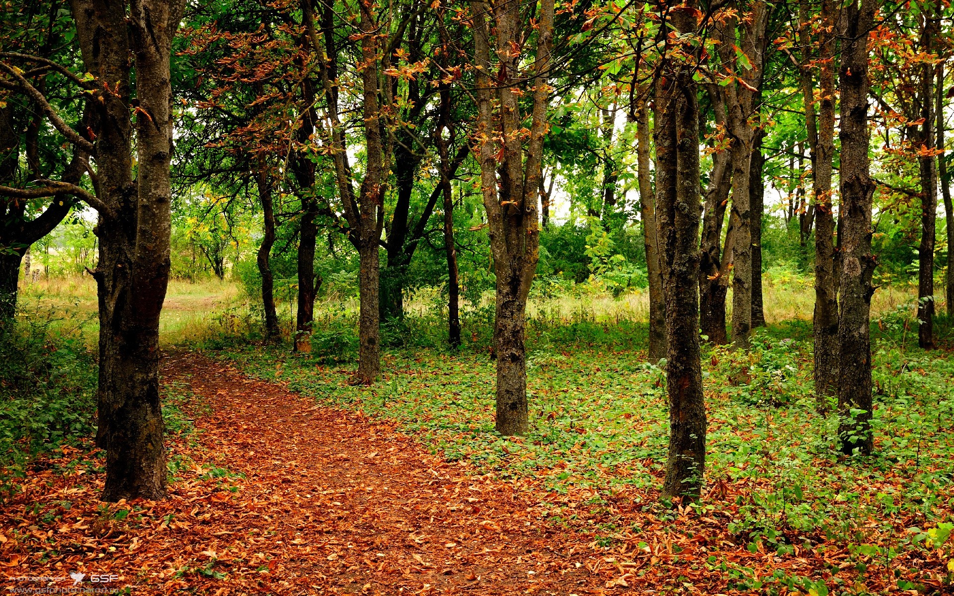 奇迹的战场，从德甲争冠的窒息对峙，到南非逆转丹麦的黎明之光