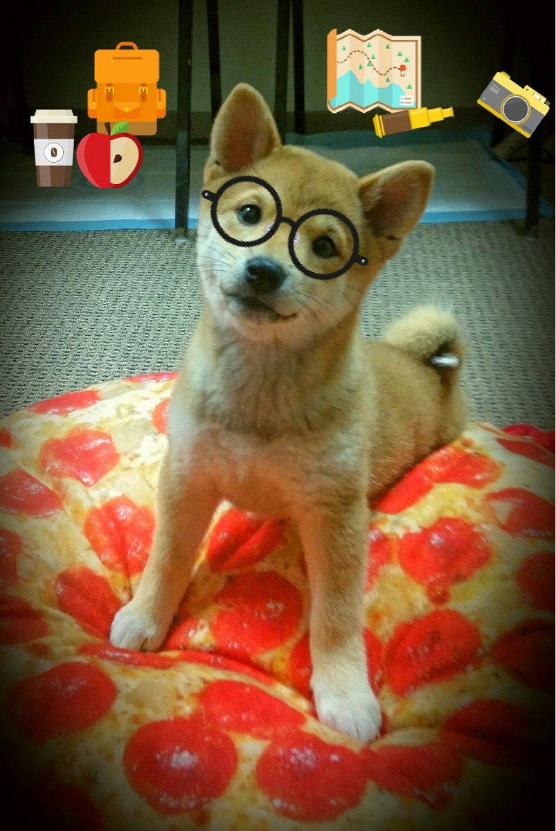 颠覆预期的绿茵权杖,加克波在哥斯达黎加的强压交响中加冕