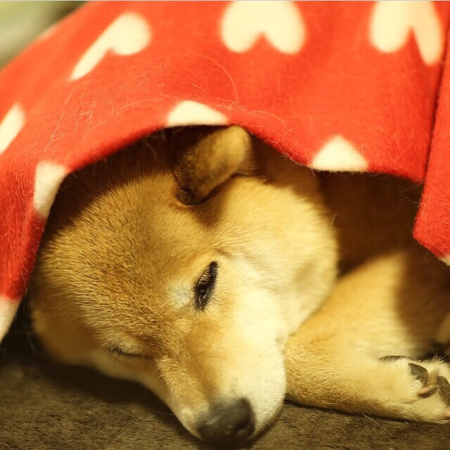 终极封神，欧冠决赛夜，巴斯托尼用数据金字塔筑起不败城墙