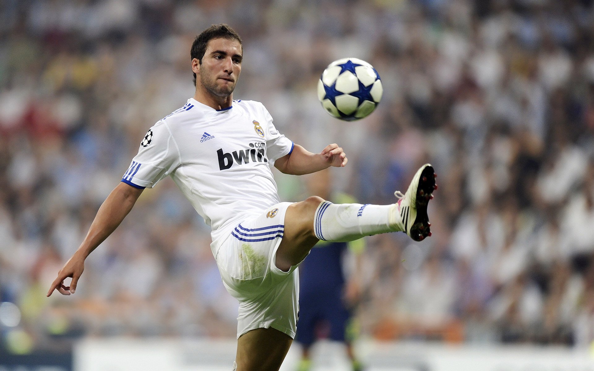 篮球场上的欧冠淘汰赛之夜，塔图姆防守端锁死对手的终极艺术