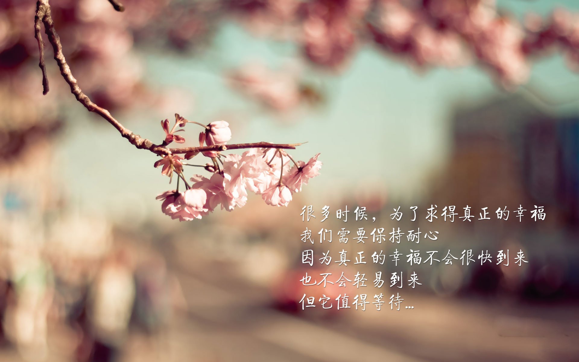 铁骑与王冠，欧冠之夜的双核驱动，勒沃库森铁血合击，姆巴佩孤星耀巴黎