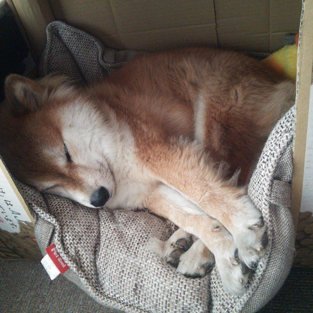 快船主场狂胜老鹰，却为对手核心东契奇加冕关键先生