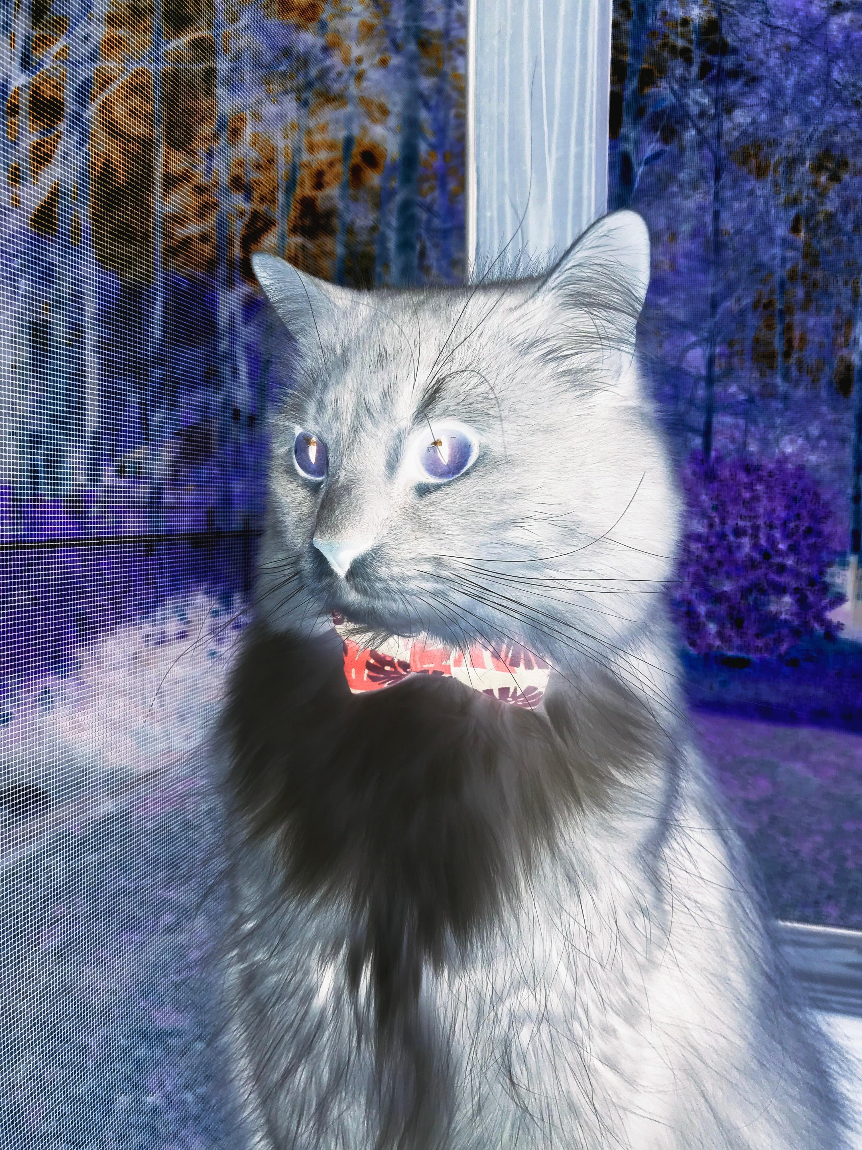 破壁之战，乔治42分神奇逆转，广厦跨联盟爆冷掀翻凯尔特人