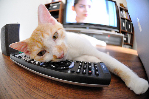 跨越太平洋的对决，当沉默杀手塔图姆在末节降临杭州