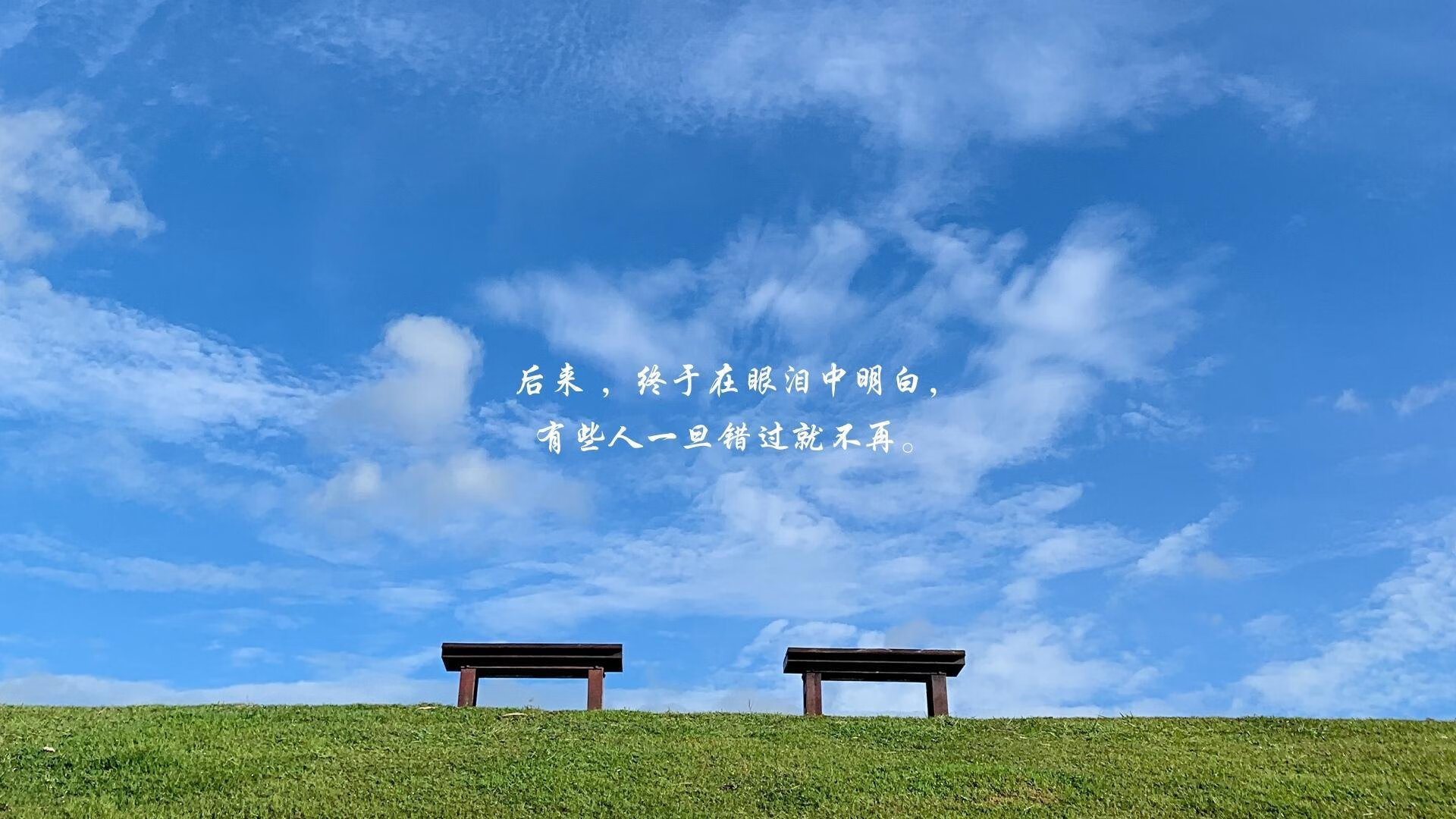 战车与紫百合之间，无名英雄拉亚如何改写结局