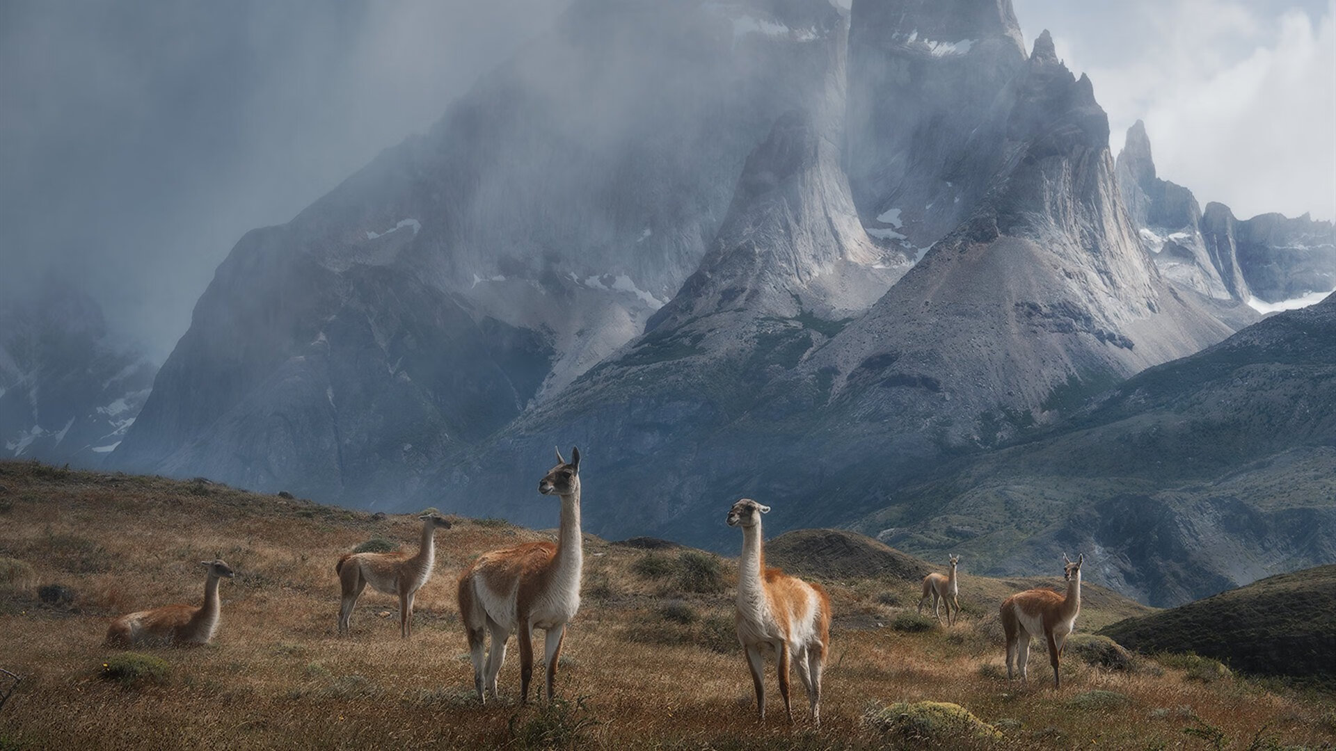 纯粹与重金的对决,恩佐闪耀,卡塔尔资本如何冲垮阿森纳的传统防线