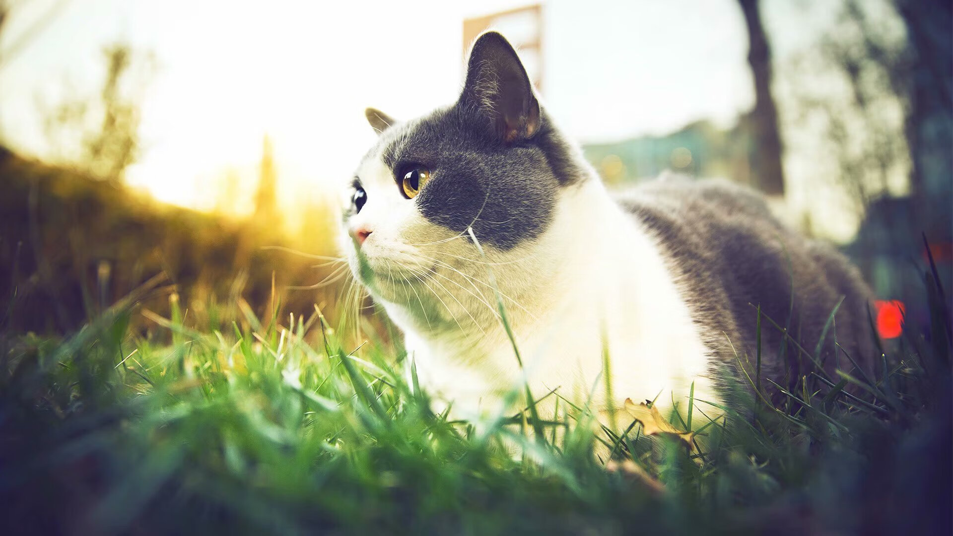 防守艺术的胜利,独行侠如何在风暴中心,用克莱的锁链掀翻山西队