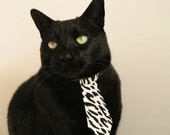 全速出击，F1赛季决胜战的启示—美国如何稳操方向盘拿下伊拉克战场