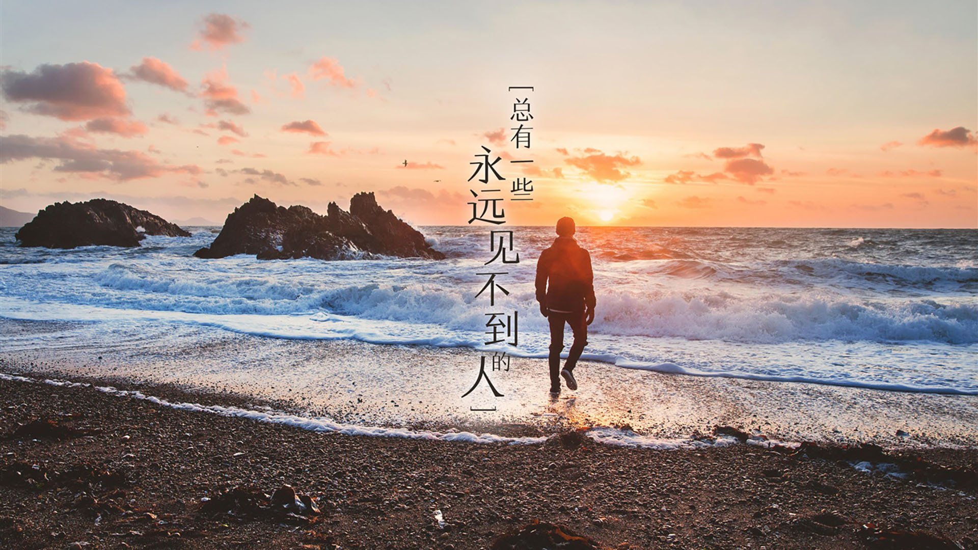 沙漠之夜的星辰坠落,2026世界杯H组,美国钢铁防线碾压波斯铁骑,B费独舞点亮全场