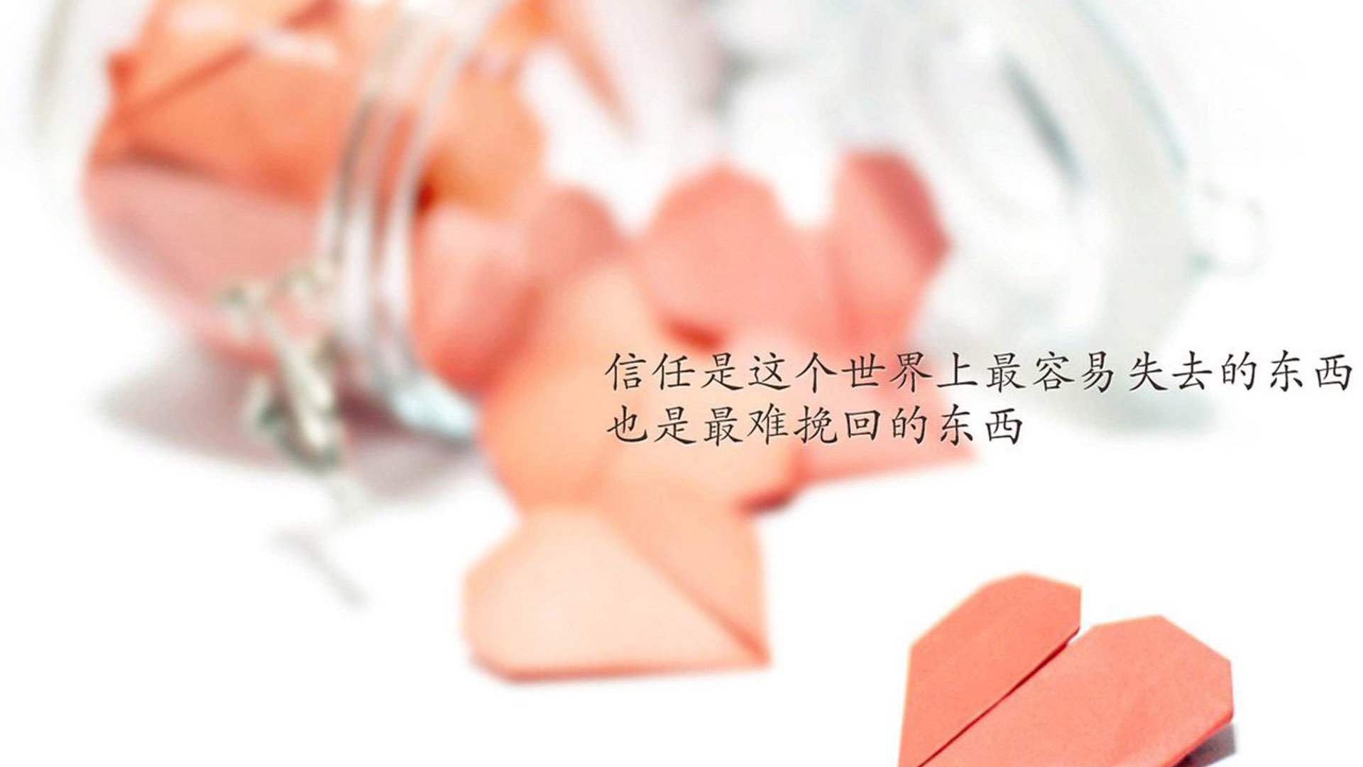 当蓝武士撕碎精密仪器—2026世界杯C组首战,一场关于唯一性的哲学宣言