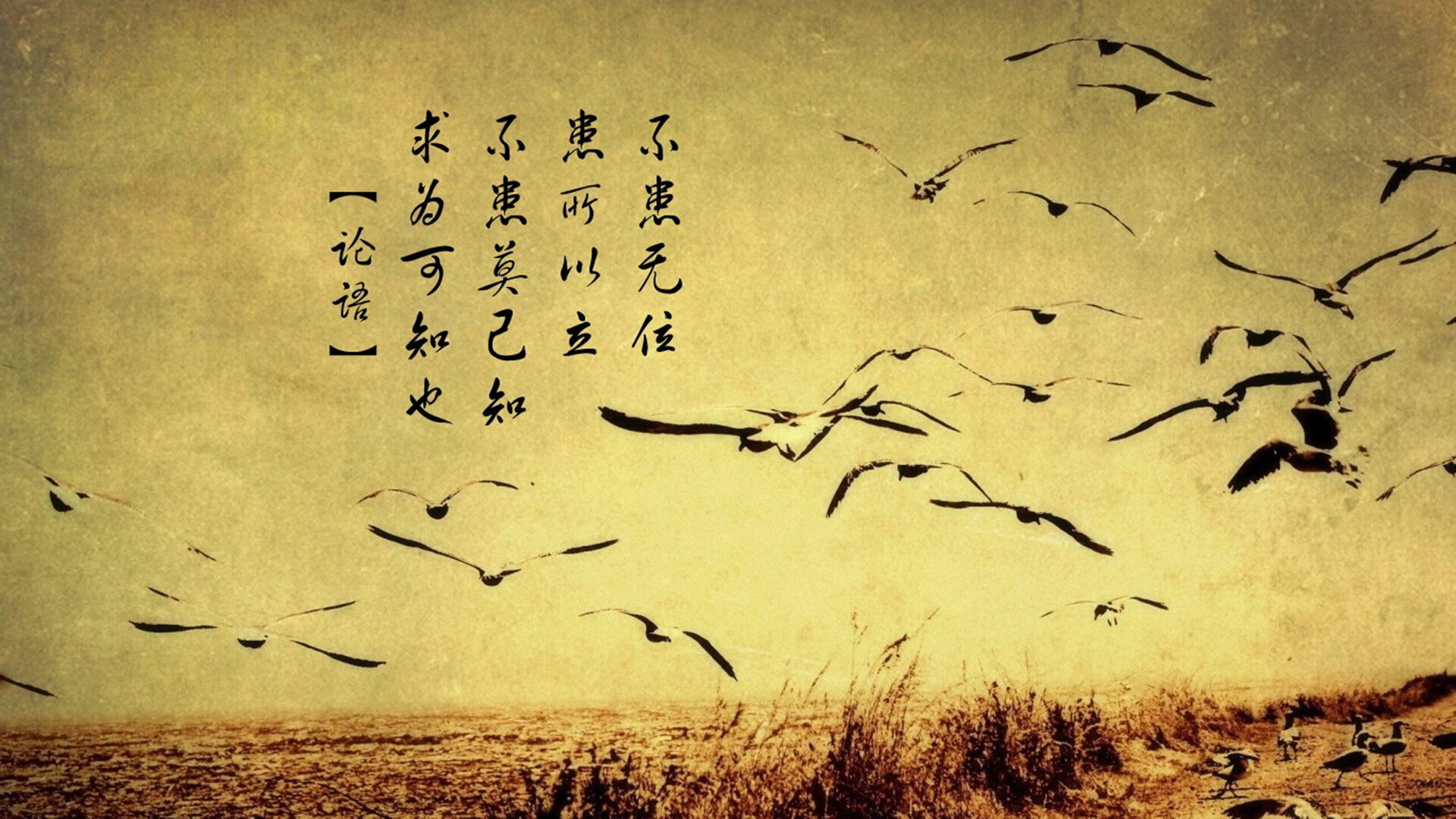 当足球上帝穿上红衣,2026,姆巴佩的临场封神与卡塔尔奇迹的最后一厘米
